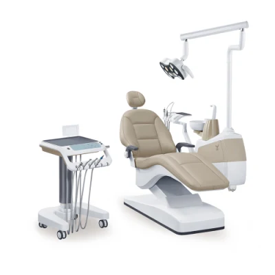 Reposabrazos giratorios, sillón dental aprobado por FDA e ISO, equipo de cuidado dental